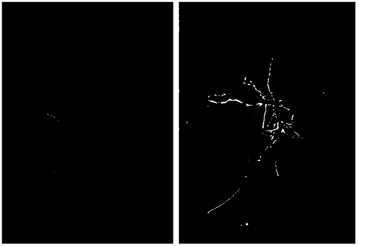 Plate culture and preparation method of ustilaginoidea virens thin-wall conidium