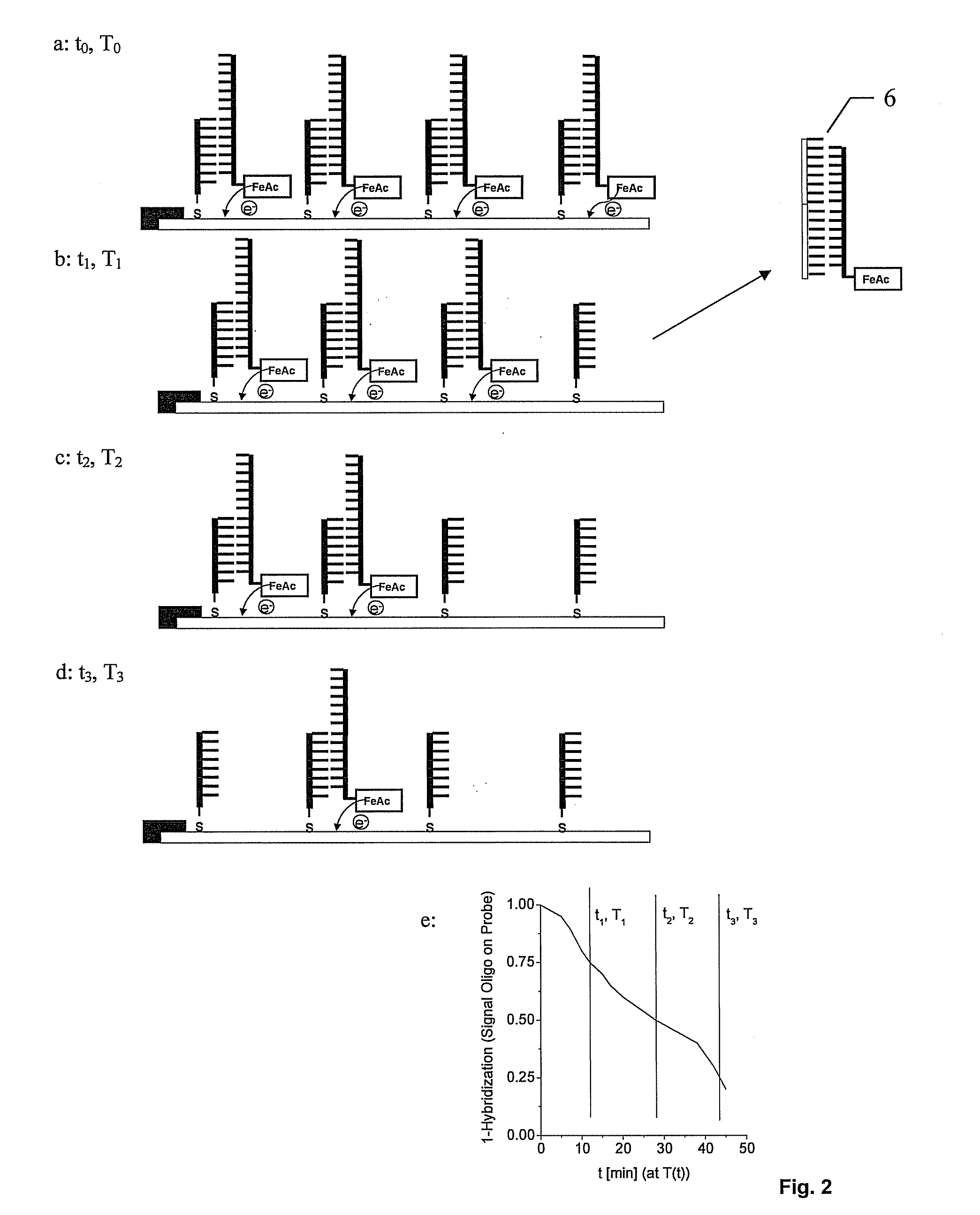 Displacement assay for detecting nucleic acid oligomer hybridization events