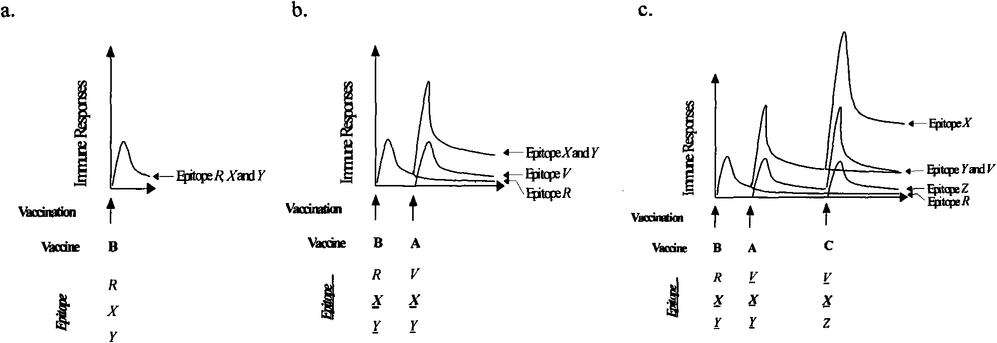 Combination vaccine against various HIVs and combination method thereof