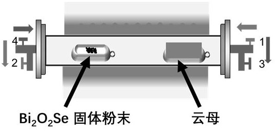 A method for preparing layered bismuth oxide selenium semiconductor thin film by reverse air flow method