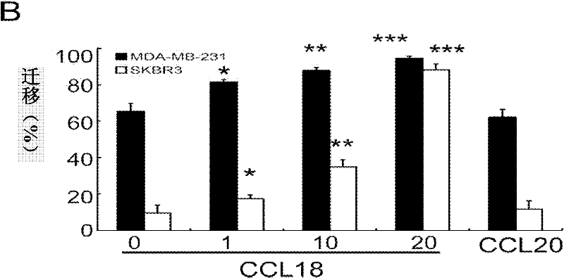 Application of PITPNM3 gene in preparing medicine for inhibiting breast cancer invasion and transfer