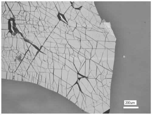 Method for producing layered material wrinkles