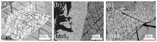 Method for producing layered material wrinkles