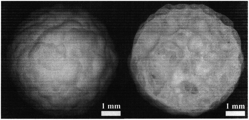 High-activity photochromic bismuth oxychloride/calcium alginate photocatalytic hydrogel microbead and preparation method thereof