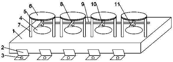 Corrected positioning device for planting apple seedlings