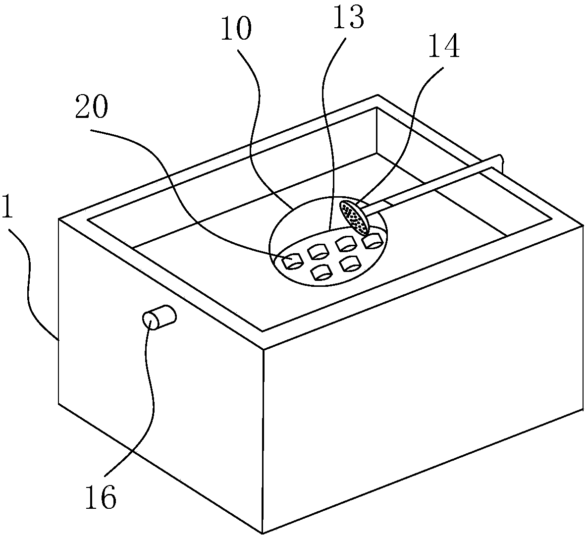 A fish fertilized egg hatching device and hatching method