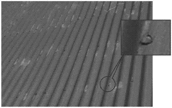 Weather-resistant polypropylene material for preparing asphalt pantile fastening nail cap