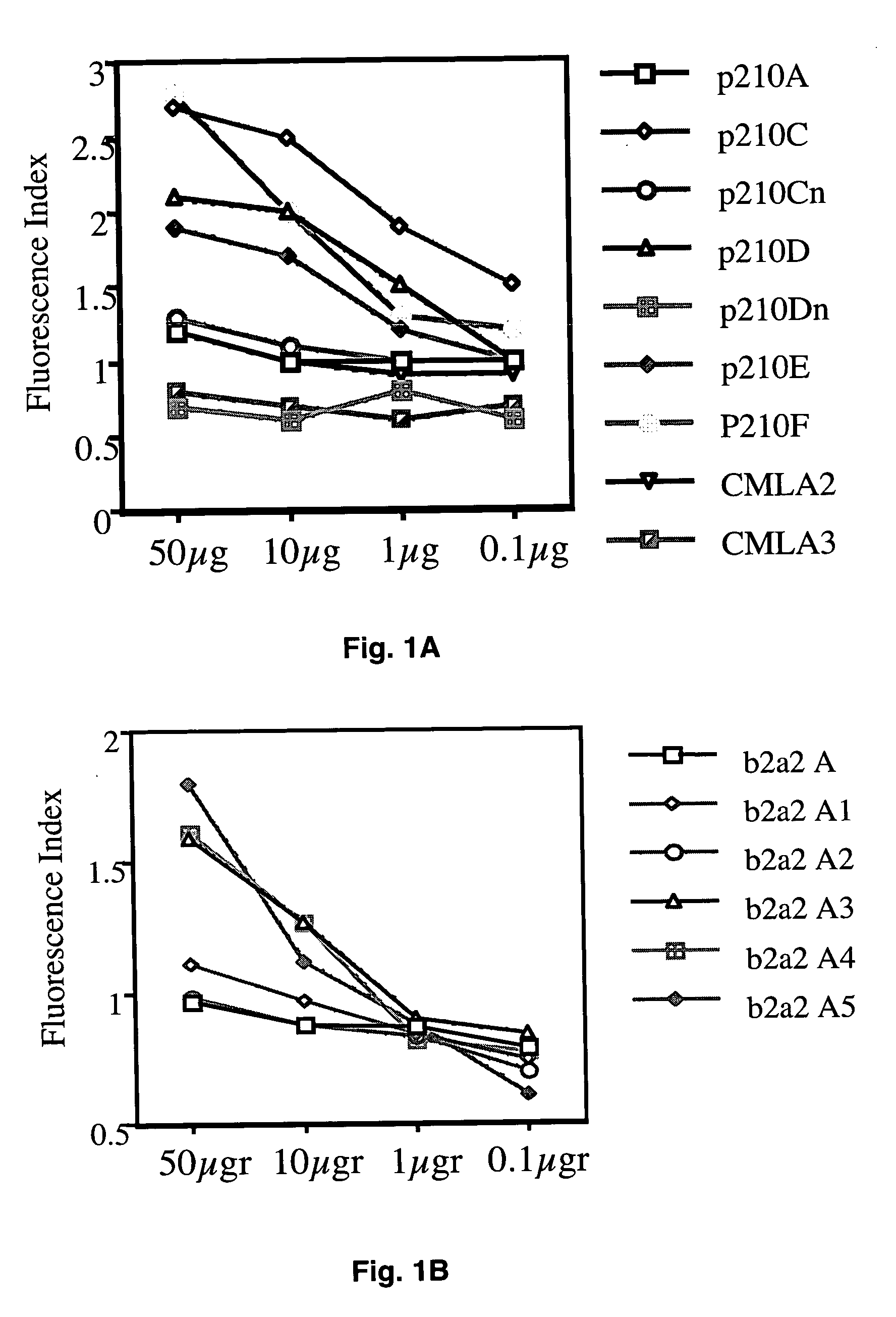 Synthetic HLA binding peptide analogues and uses thereof