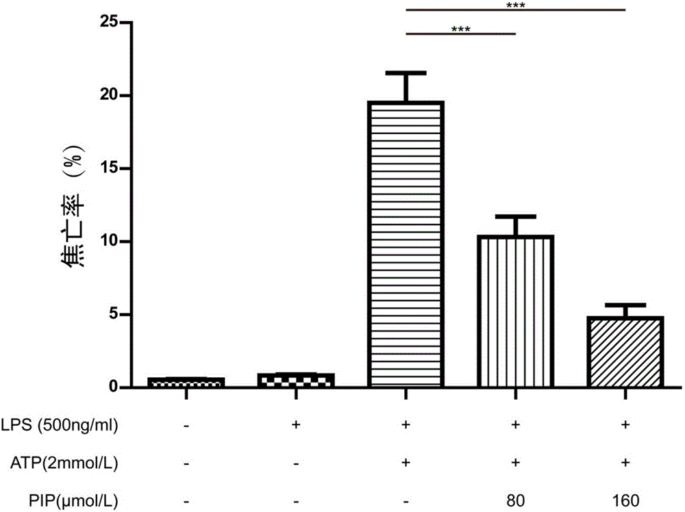 Application of piperine in preparation of drugs for resisting pyroptosis and multiple organ injury