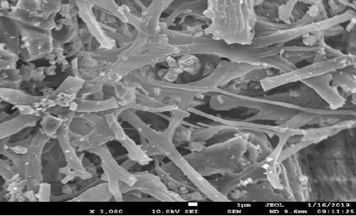 Method for preparing tree whitening agent from solid waste