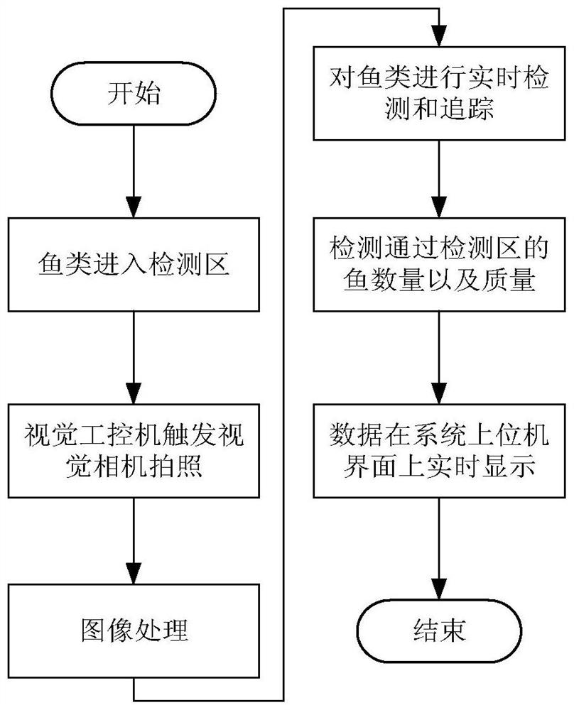 Image processing method in fish detection visual system and system thereof