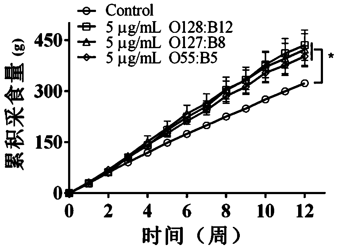 Application of lipopolysaccharide in the preparation of additives for promoting animal feed intake and improving carcass composition