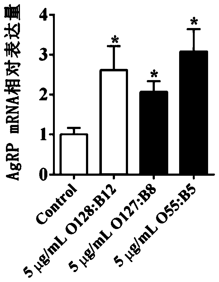 Application of lipopolysaccharide in the preparation of additives for promoting animal feed intake and improving carcass composition