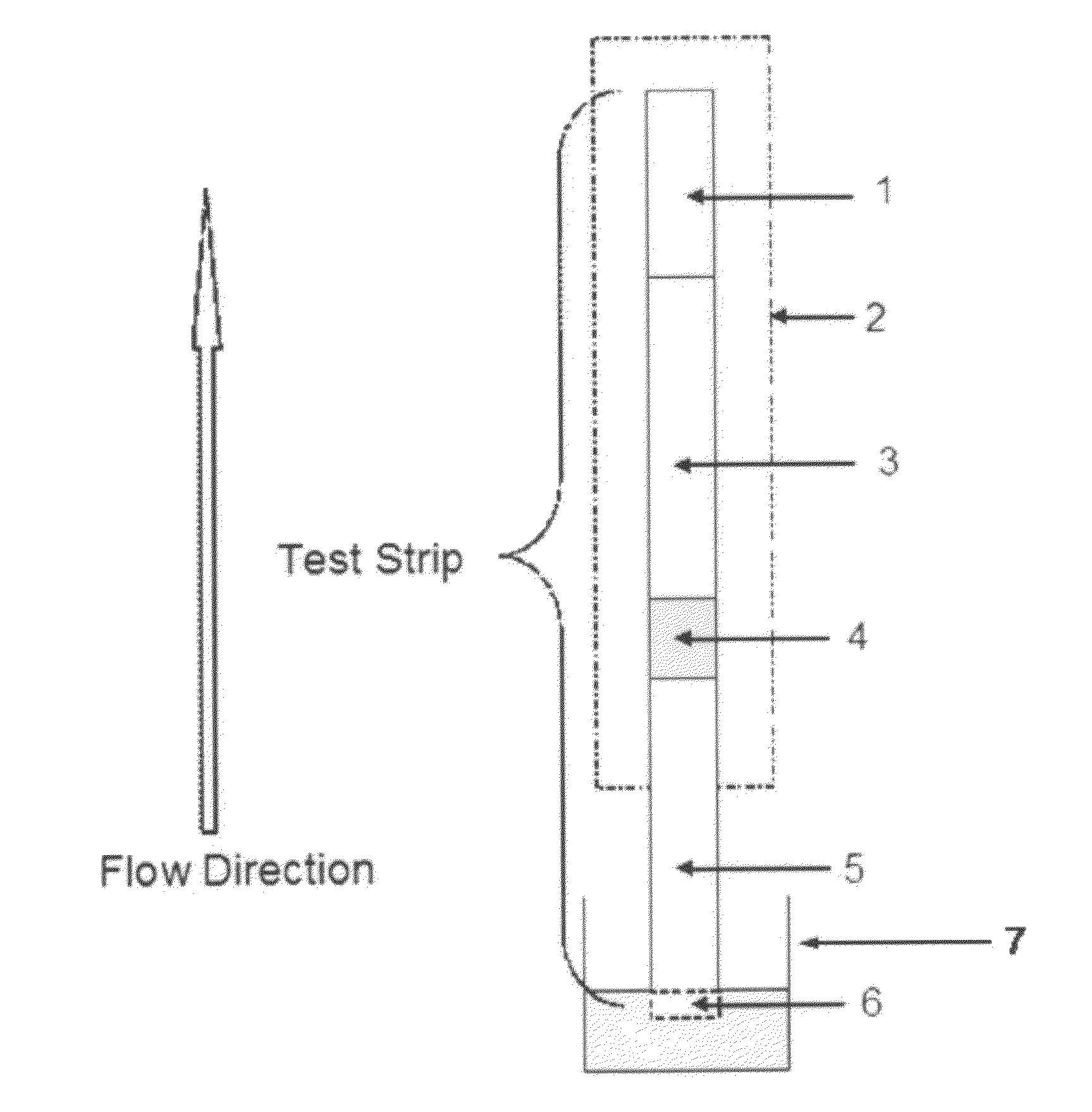 Rapid Lateral Flow Assay Method for Detecting Low Quantity Liquid or Dry Samples