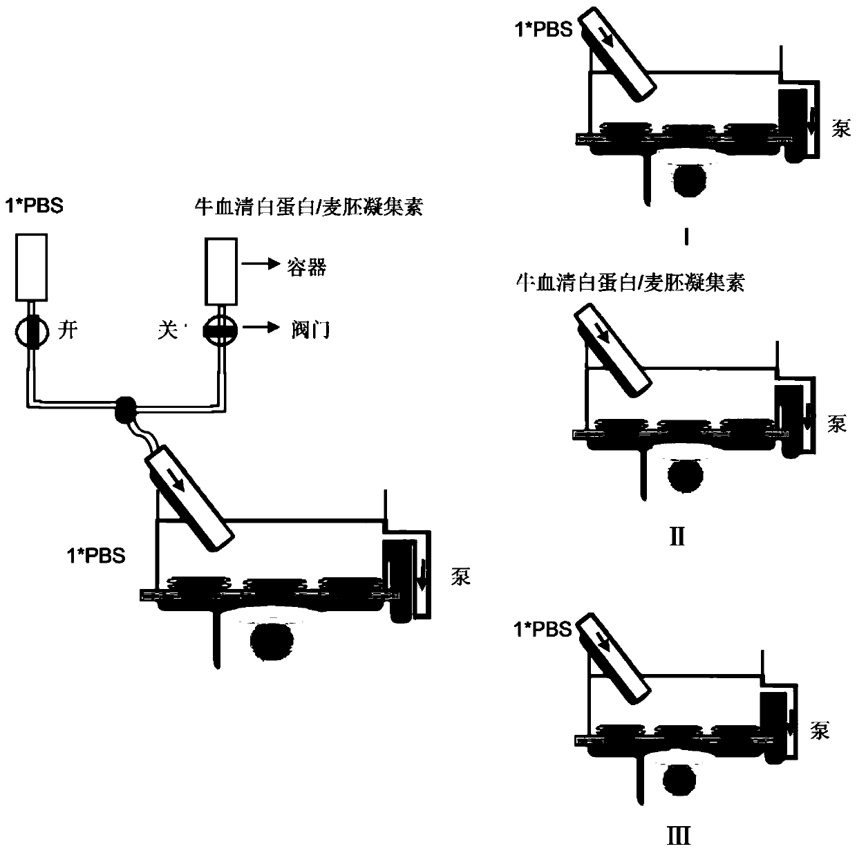 Method for analyzing interaction between single carbon nanotube and protein