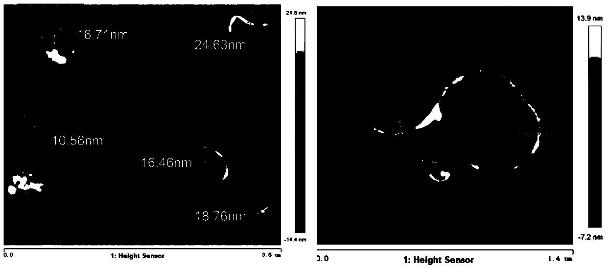 Method for analyzing interaction between single carbon nanotube and protein