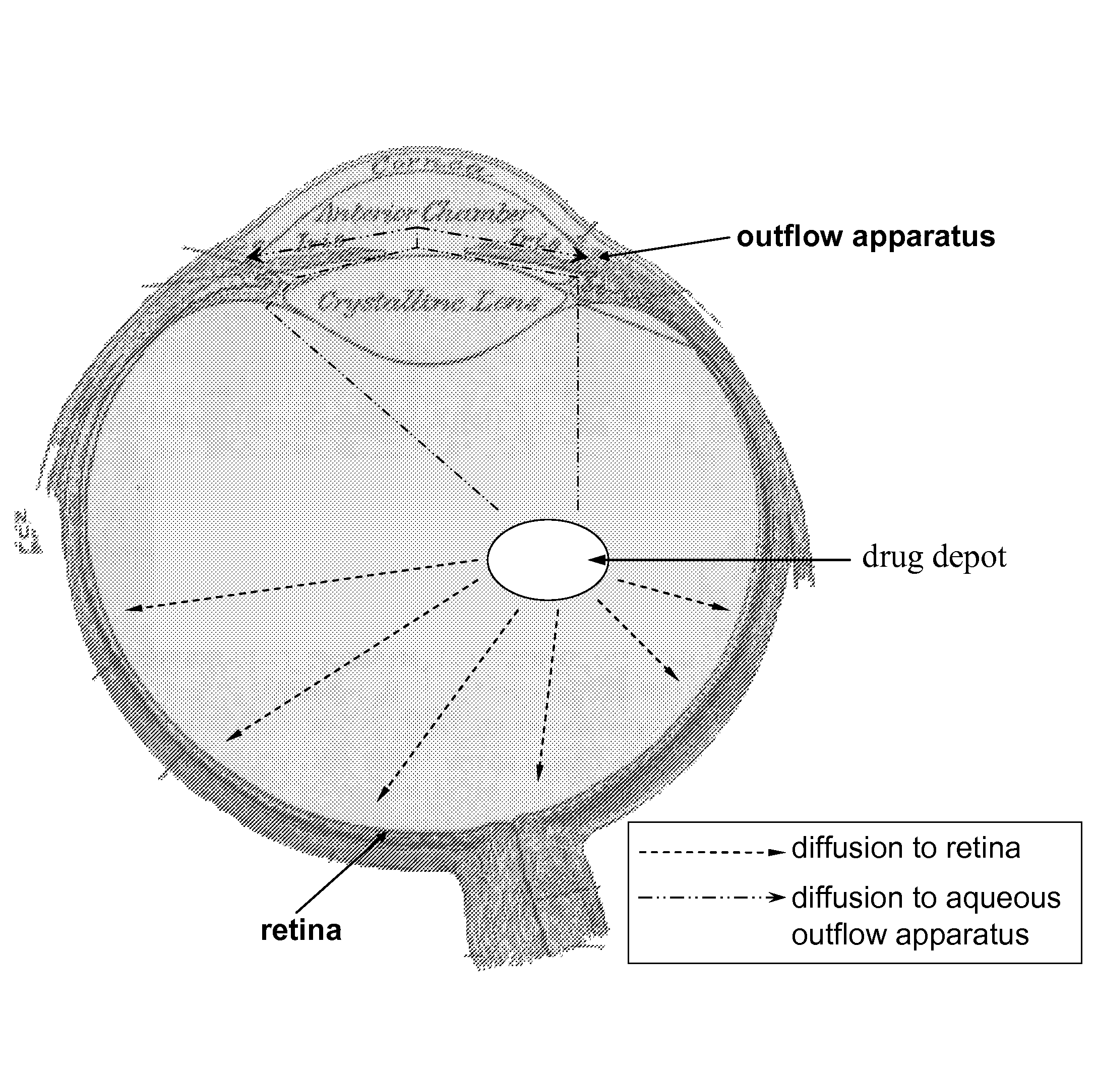 Ocular therapy using glucocorticoid derivatives selectively penetrating posterior segment tissues