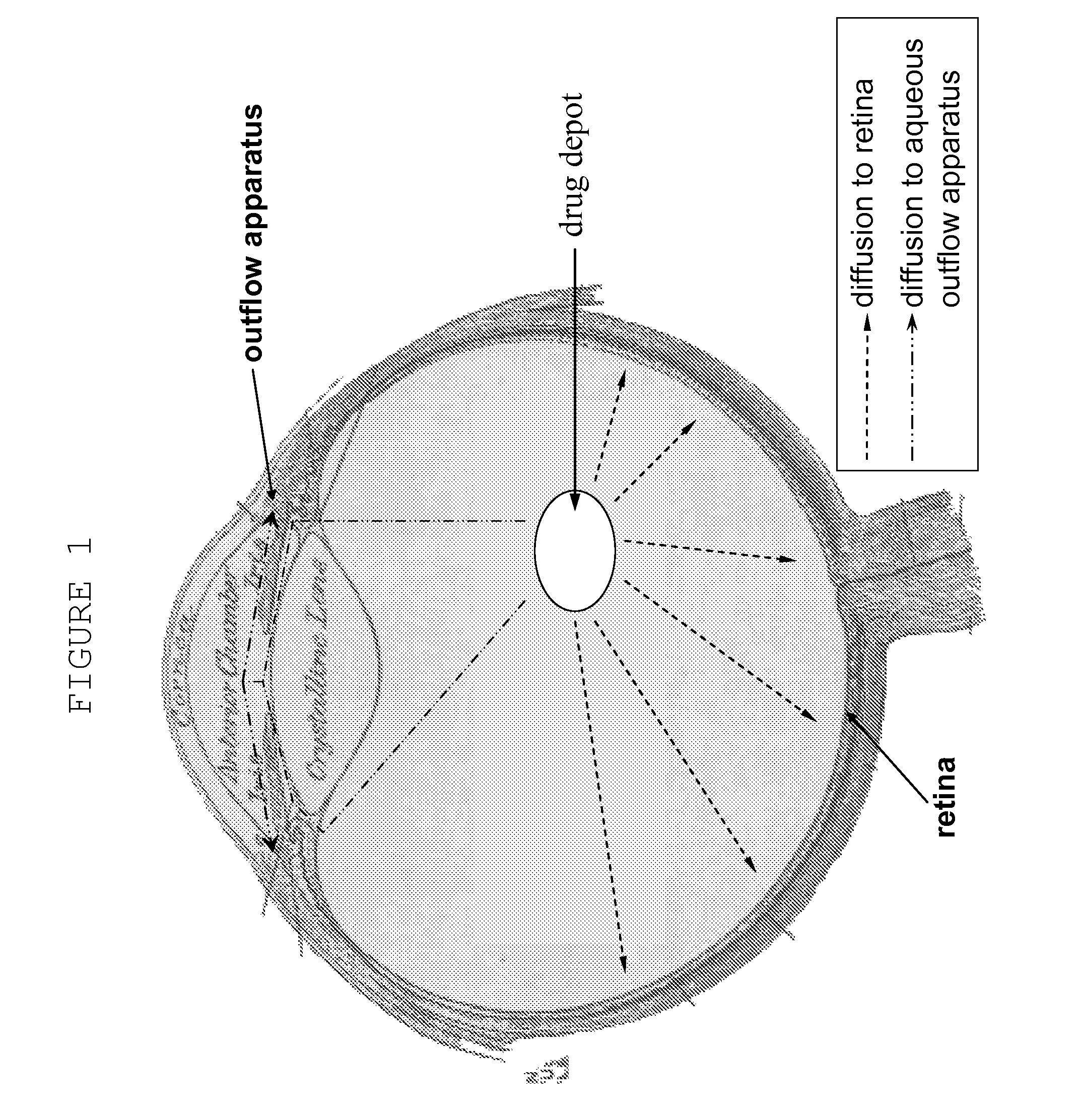 Ocular therapy using glucocorticoid derivatives selectively penetrating posterior segment tissues