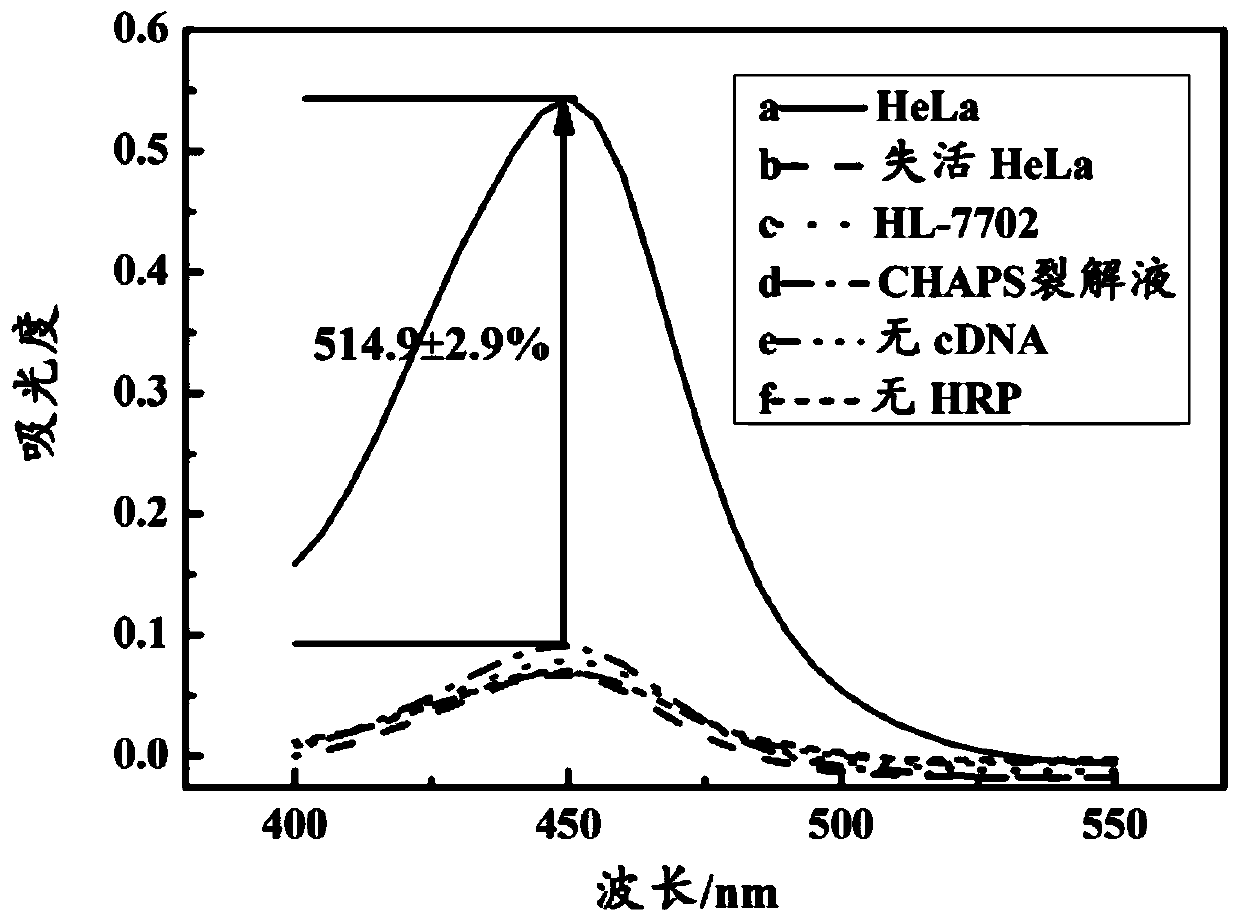 A colorimetric detection method for telomerase activity