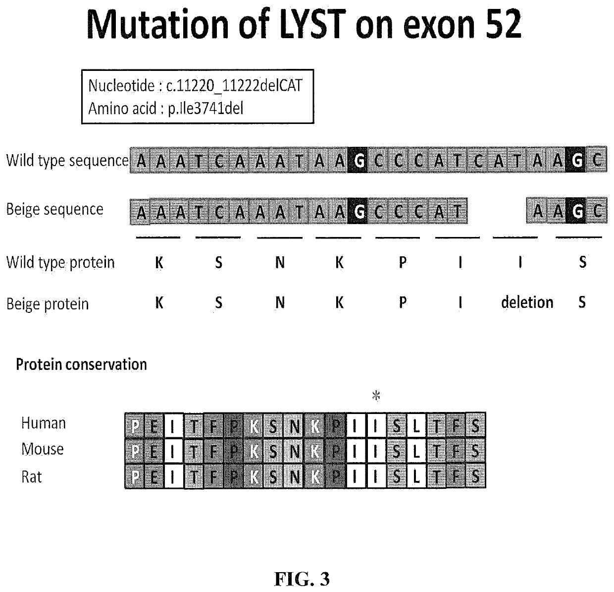 Compositions and methods for Anti-lyst immunomodulation