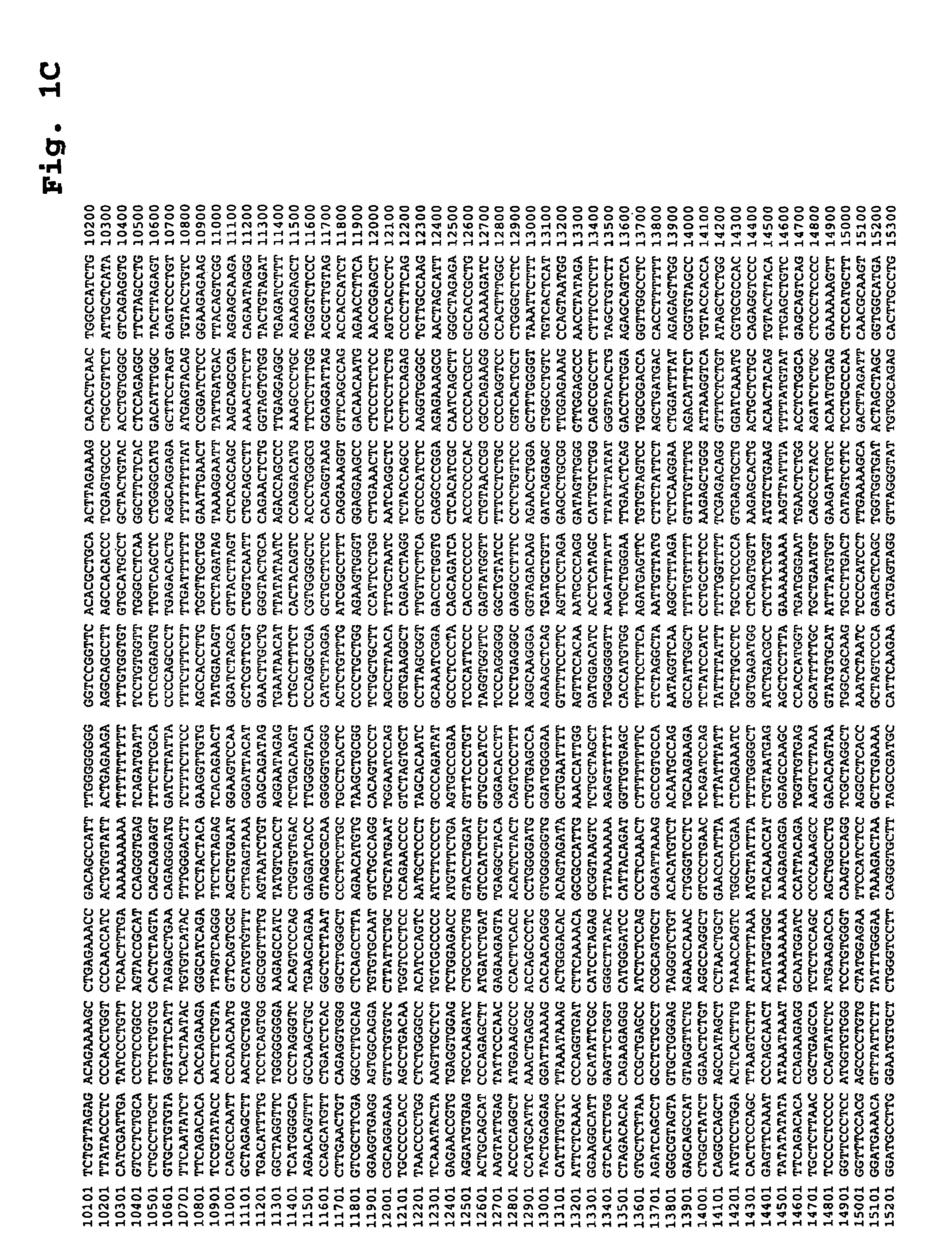 Compositions for the derivation of germ cells from stem cells and methods of use thereof