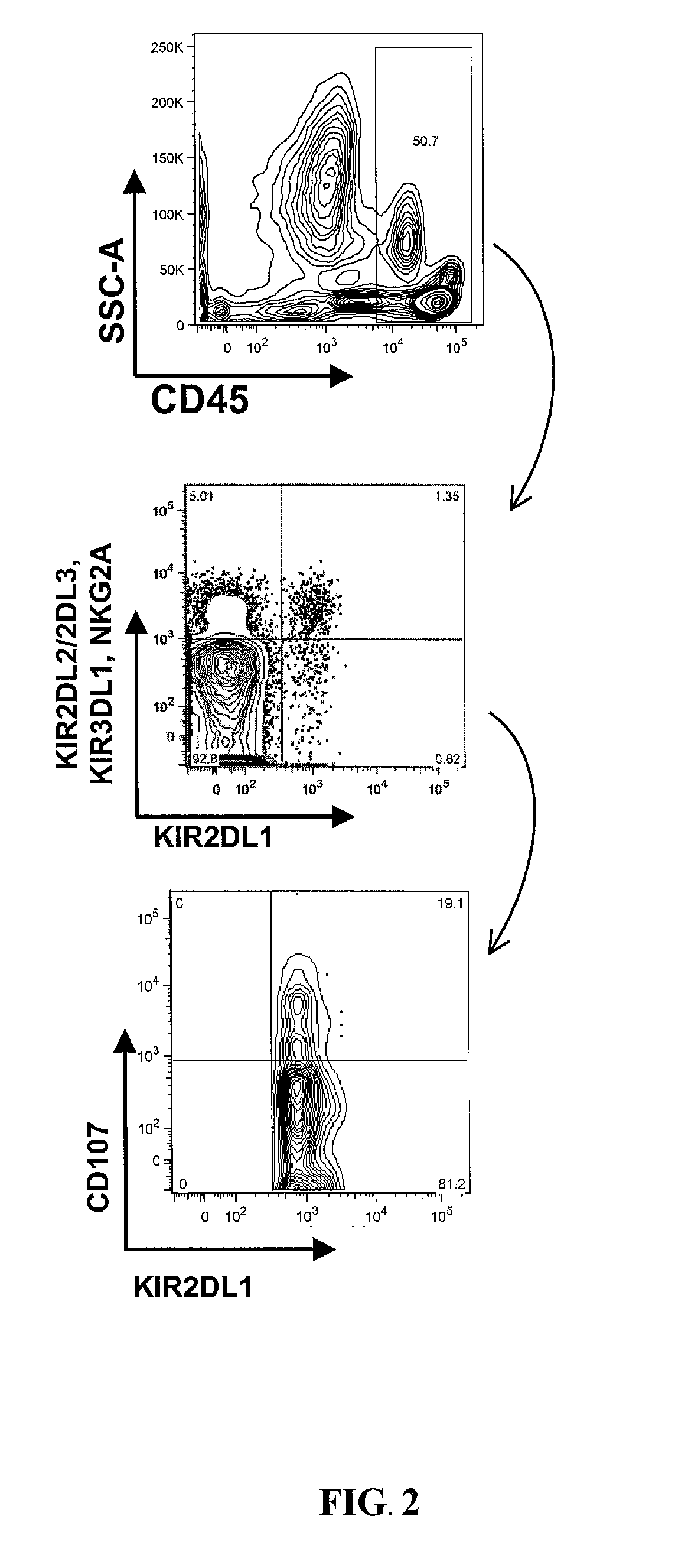 Molecular-determinant based typing of kir alleles and kir-ligands