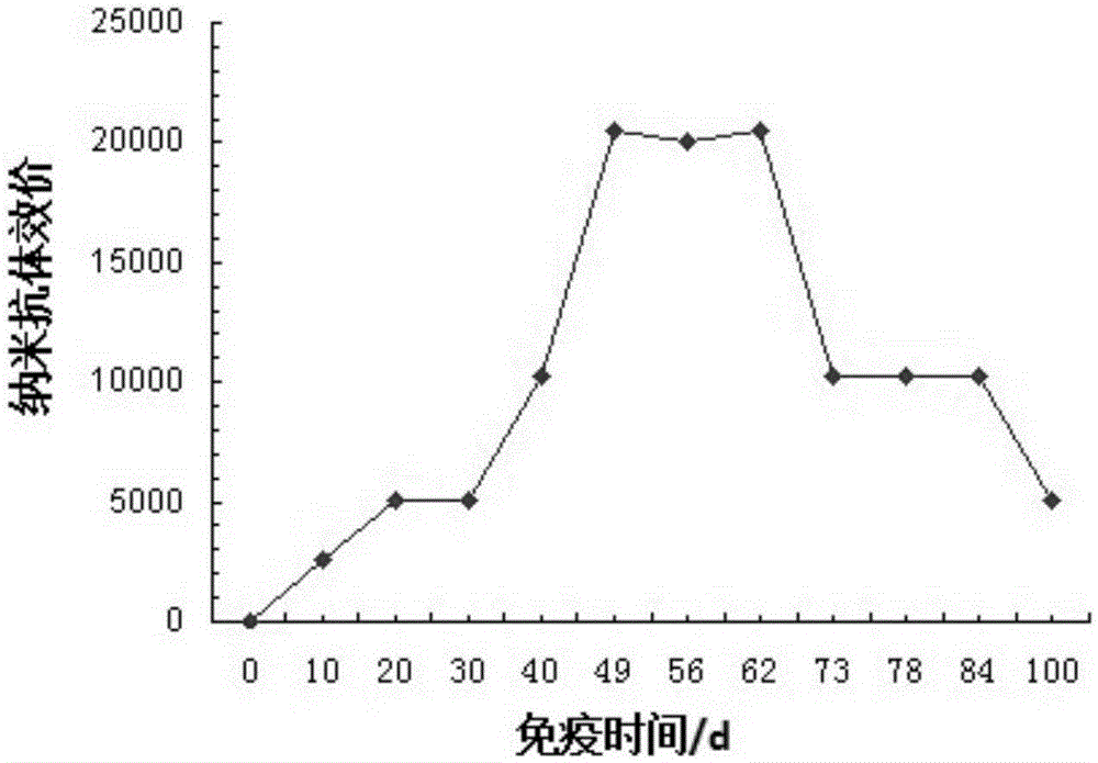 Hand-foot-and-mouth disease resistant specific nanobody and titer determination method thereof