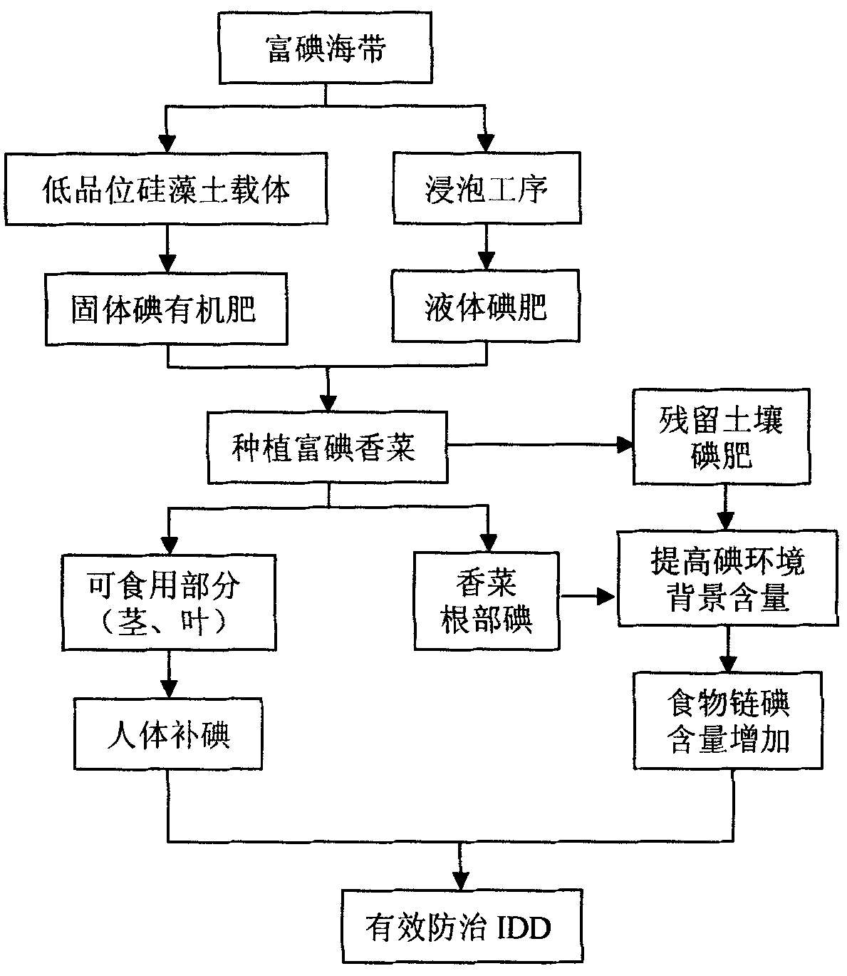 Planting method of iodine-enriched caraway