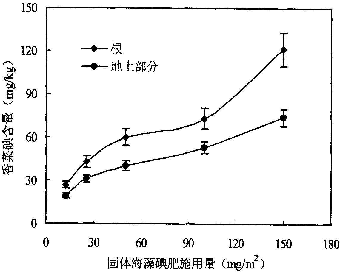 Planting method of iodine-enriched caraway