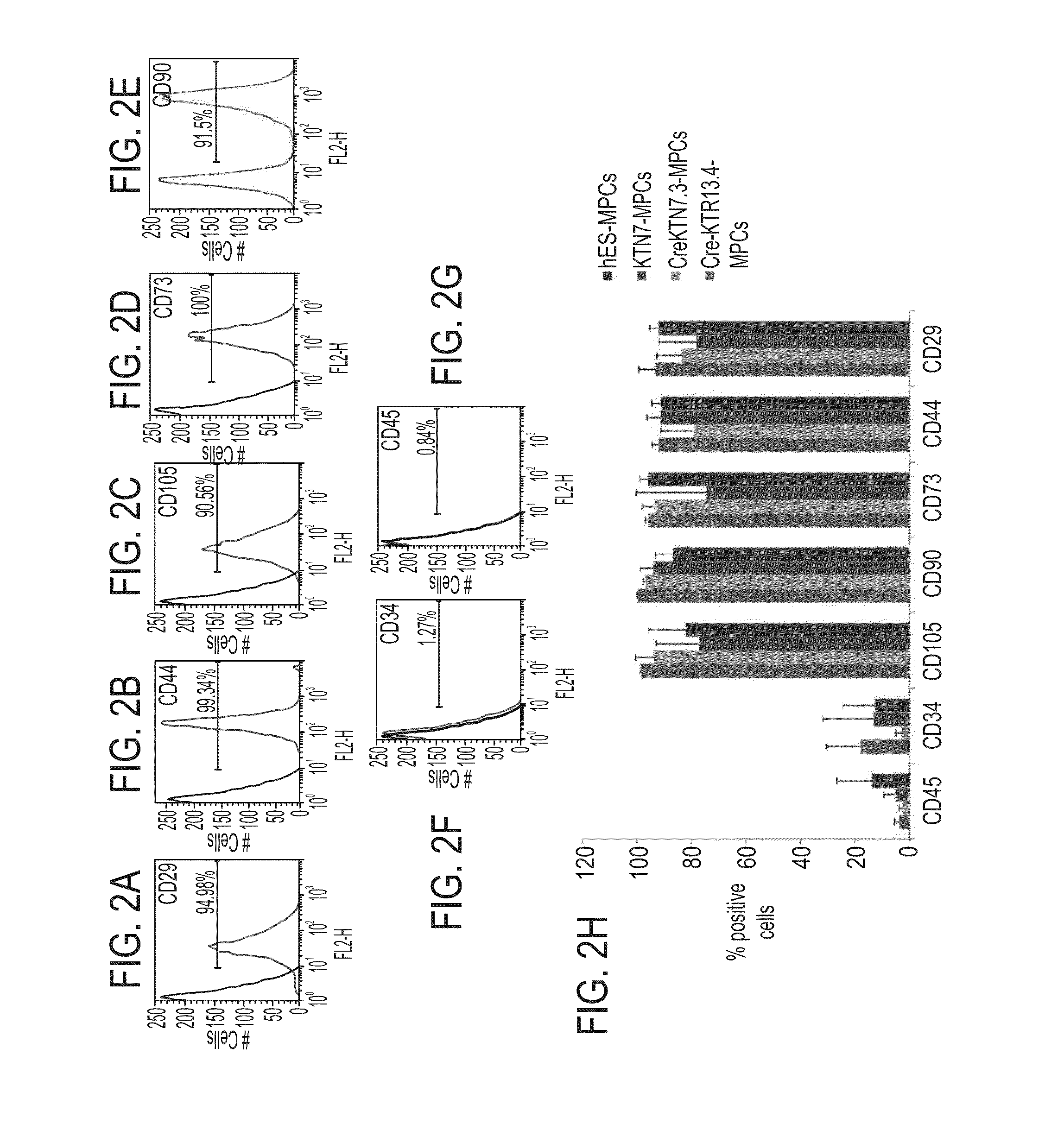 Isolated mesenchymal progenitor cells and extracellular matrix produced thereby