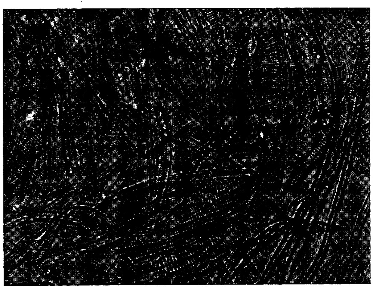 Method and application of preparing homogeneous composite membrane with helical fiber in coconut shell fiber