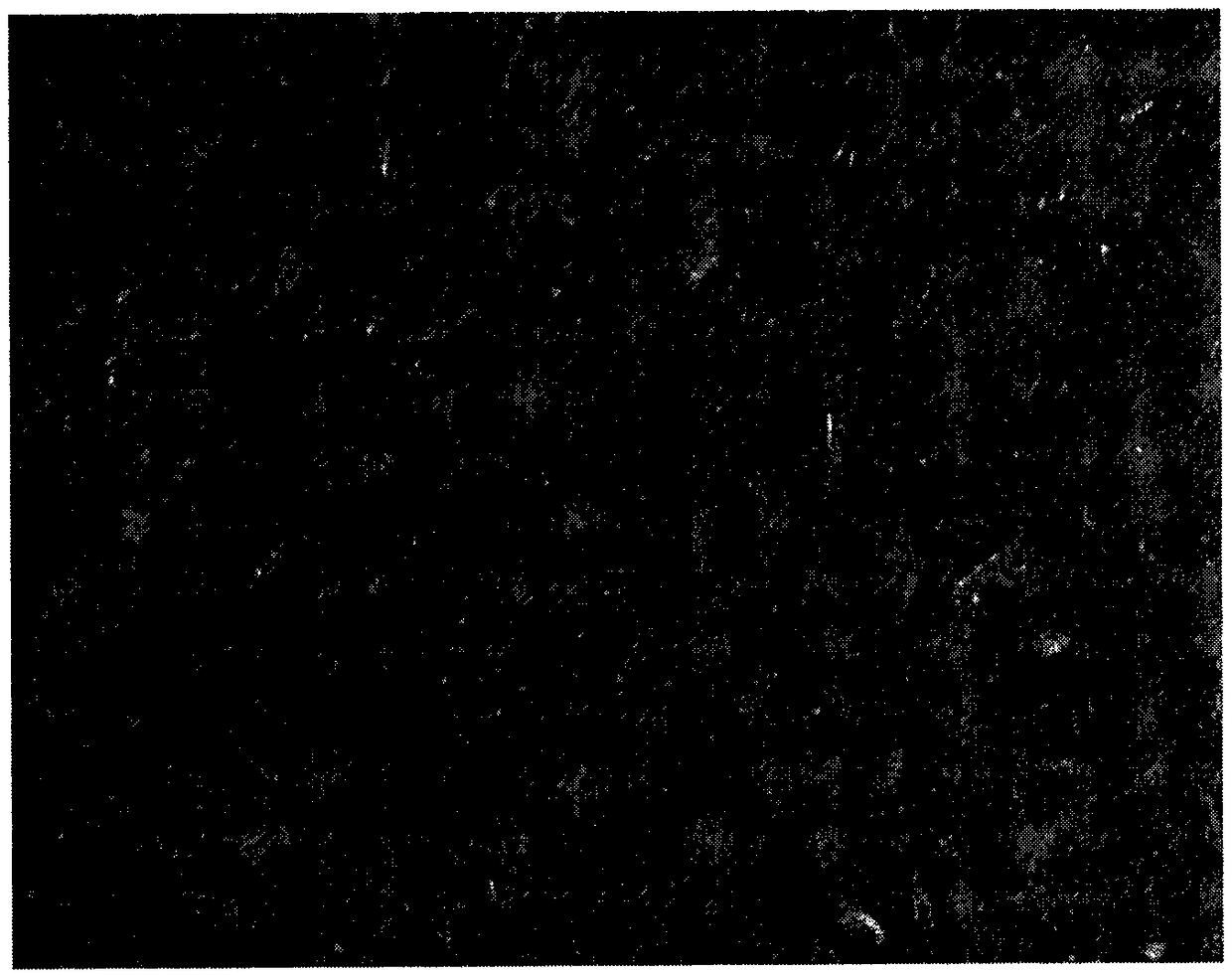 Method and application of preparing homogeneous composite membrane with helical fiber in coconut shell fiber