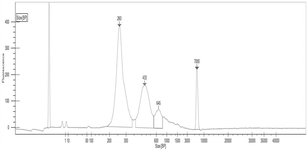 A kind of nucleic acid linker and library construction method for high-throughput sequencing