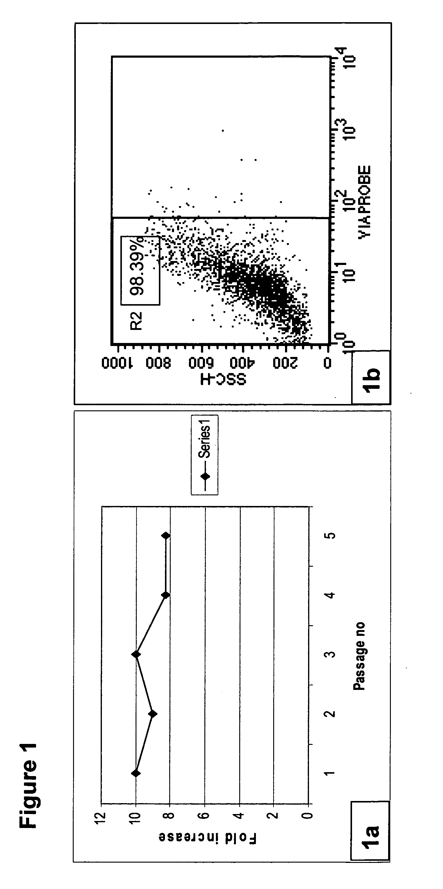 Method of growing mesenchymal stem cells from bone marrow