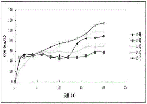 Carbon release material for remedying underground water nitrate nitrogen pollution and preparation method of carbon release material