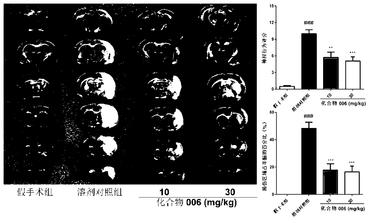 Caffeoyl substituted pentacyclic triterpenoid derivatives and purpose thereof