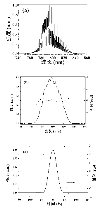 Measuring device for femtosecond laser pulse shapes