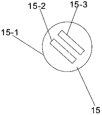 Dual-wavelength laser Raman spectrometer