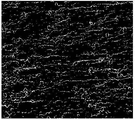 Process for manufacturing smooth surface roughened electrolytic copper foil