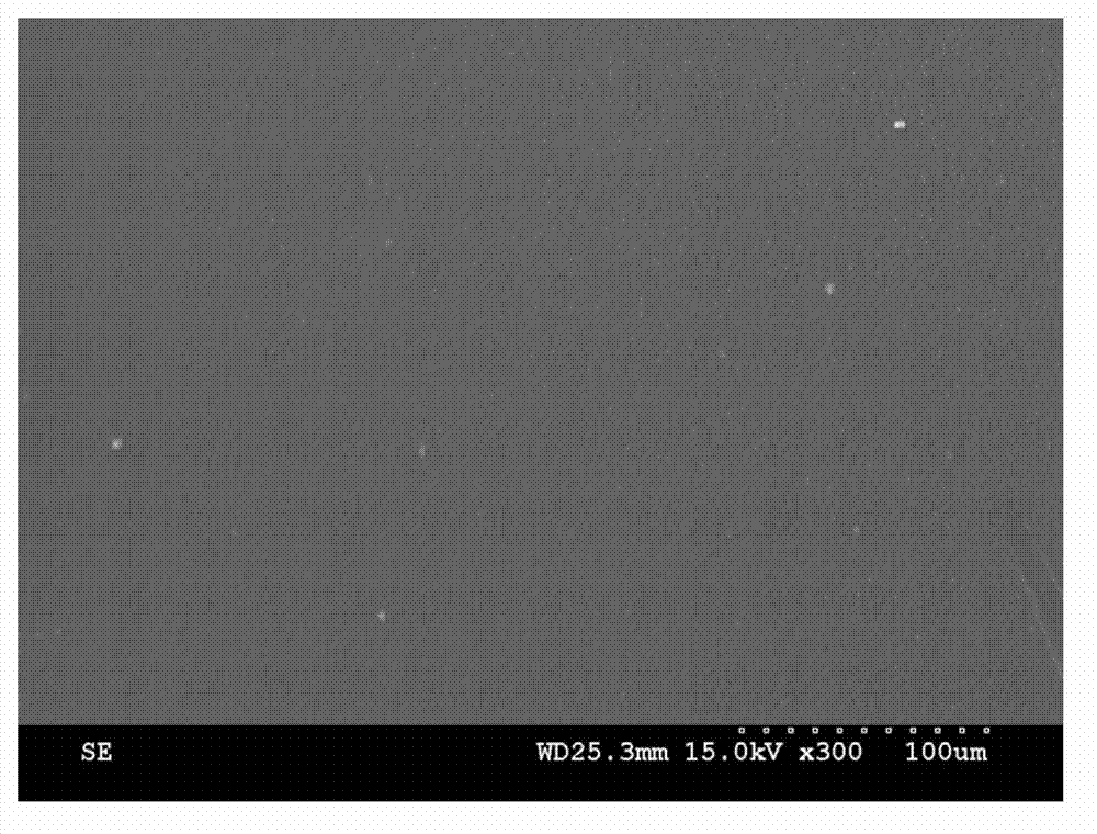 Stent type silk fibroin film insoluble in water, and preparation and application of stent type silk fibroin film