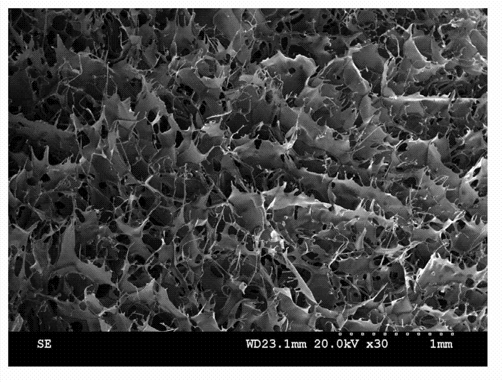 Stent type silk fibroin film insoluble in water, and preparation and application of stent type silk fibroin film