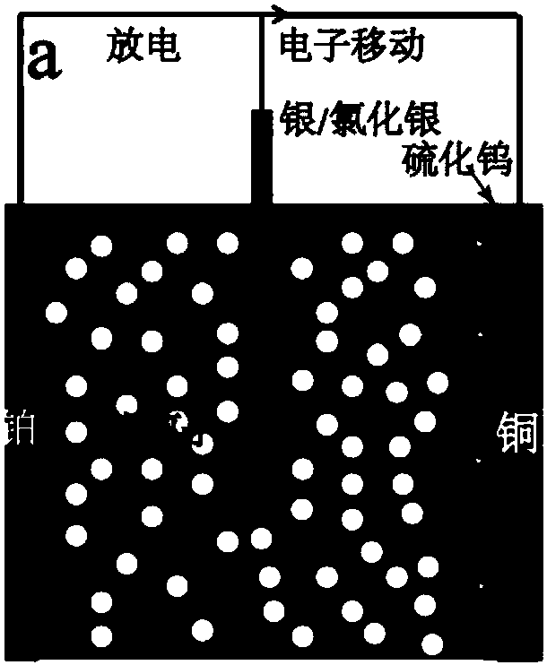 Method for preparing inorganic non-metallic material quantum dots by electrochemical ion impact and application thereof