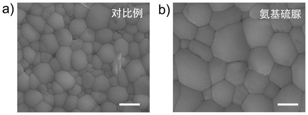 Efficient and stable inorganic lead-free perovskite solar cell and preparation method thereof