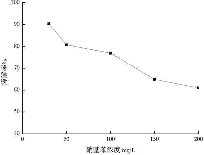 Method for degrading nitrobenzene in waste water