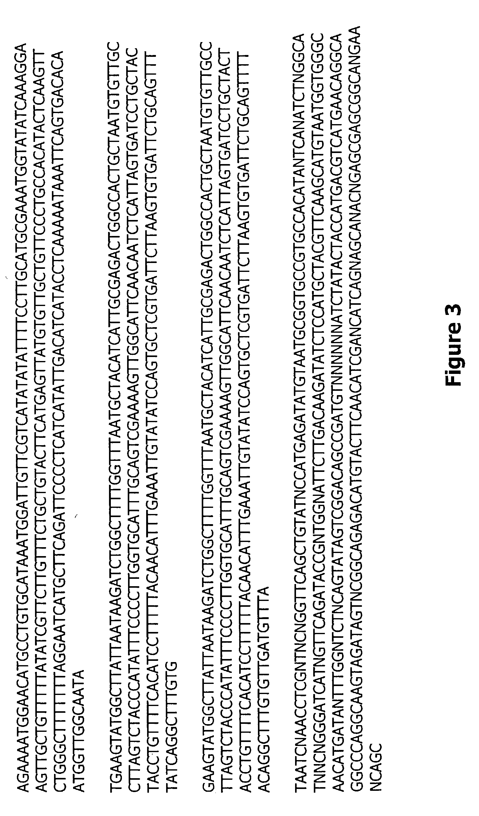 Acyl CoA:cholesterol acyltransferase related nucleic acid sequences