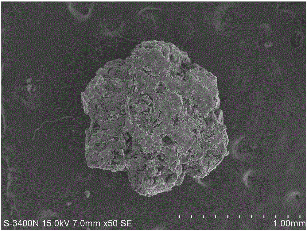 Silkworm excrement porous carbon MOFs composite material, preparation method thereof and application