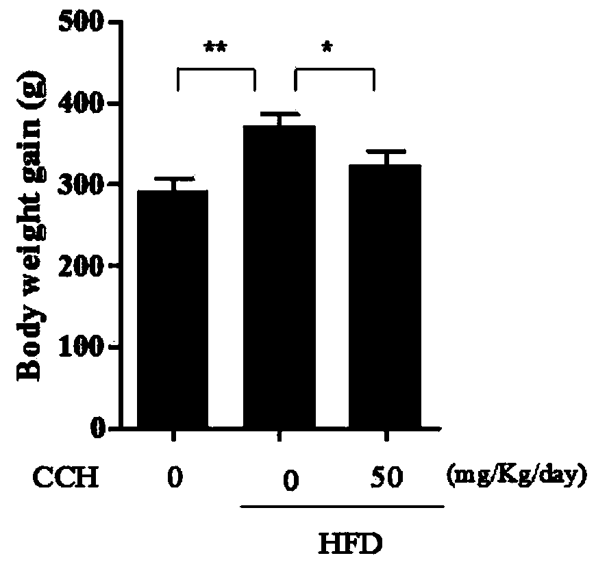 Application of hydrogen molecule solid carrier in preparation of obesity inhibitory health-care products and medicines