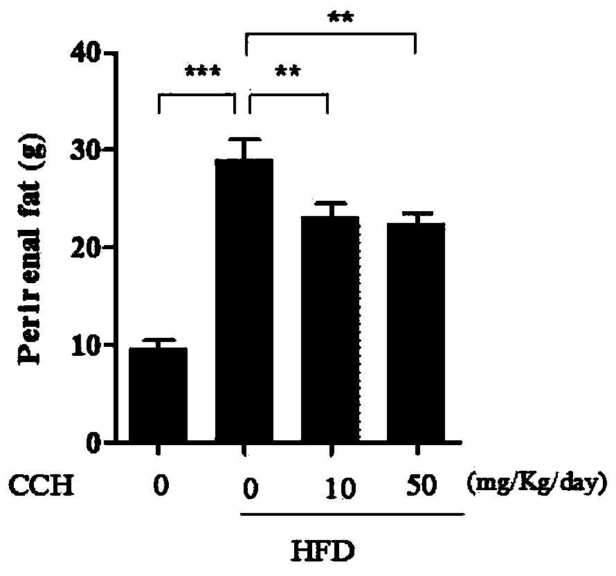 Application of hydrogen molecule solid carrier in preparation of obesity inhibitory health-care products and medicines