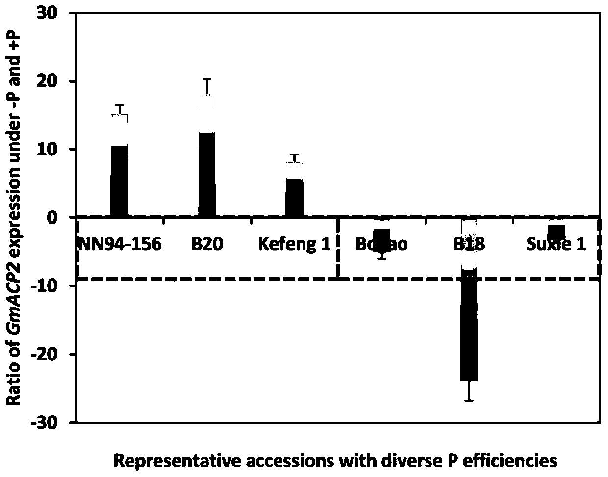 Soybean gene gmacp2, encoded protein and its application for tolerance to low phosphorus