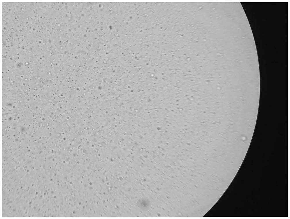 A natural skin care volcanic mud particle emulsified oil-in-water emulsion and preparation method thereof